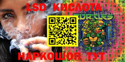 гидропоника Кулебаки