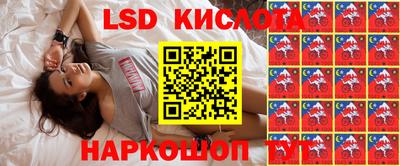гидропоника Кулебаки