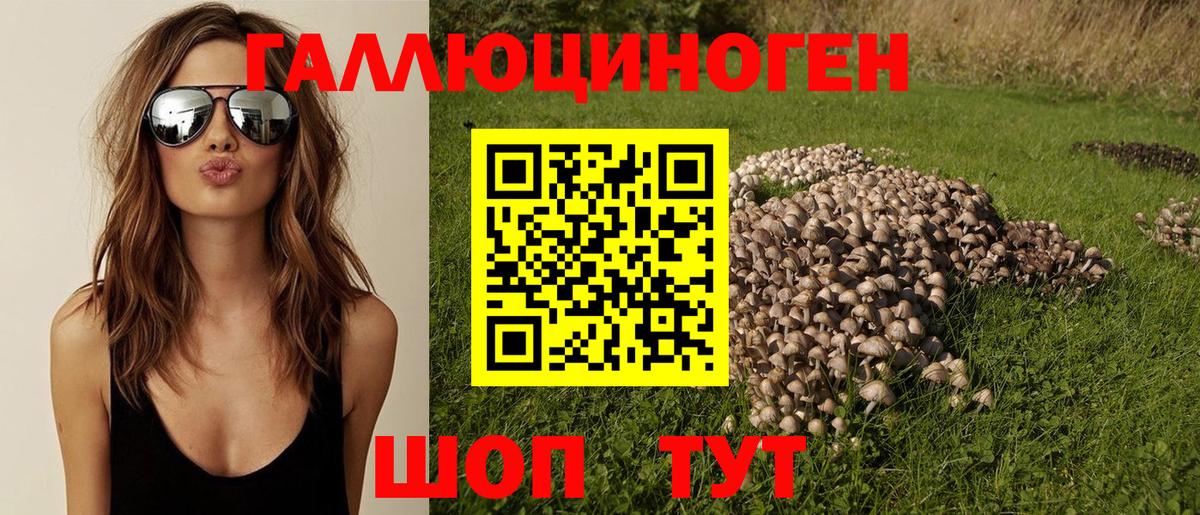 Псилоцибиновые грибы Psilocybine cubensis Волжский