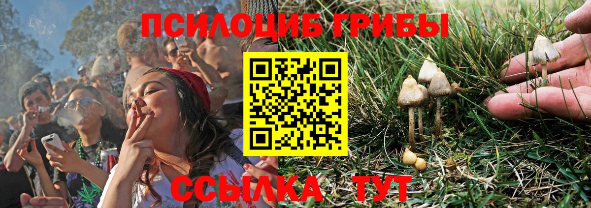 Волжский  продажа наркотиков  Вход с VPN  Галлюциногенные грибы MAGIC MUSHROOMS 